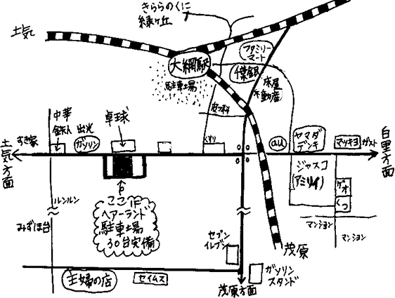 大網新地図2016